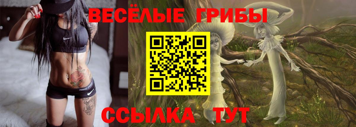 Галлюциногенные грибы мицелий  Галлюциногенные грибы мухоморы  Ачинск  Вход с VPN 